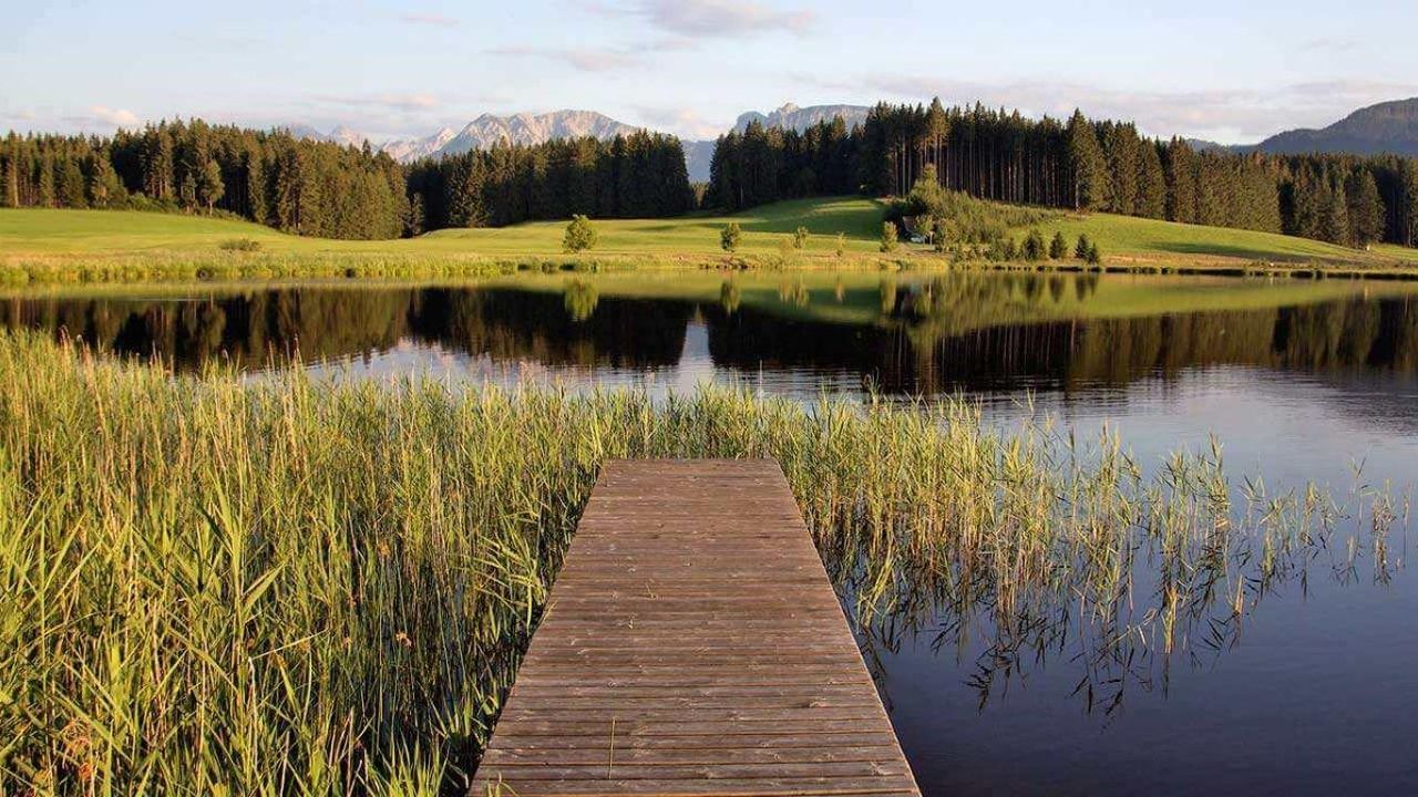 Sommer am Attlesee Sommer am Attlesee